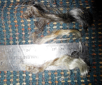 Fleece  - L734