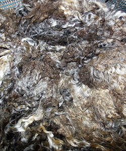 Fleece  - L734