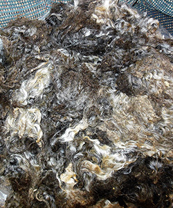 Fleece  - L734