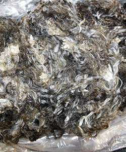 Fleeces - L737