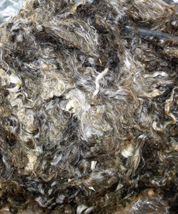 Fleeces - L737