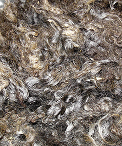 Fleeces - L737
