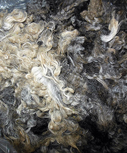 Fleeces = L740