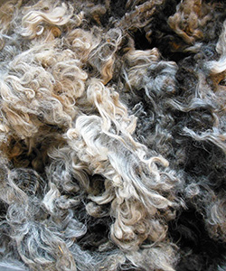 Fleeces  - L740