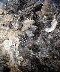 Fleeces L740