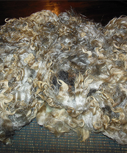 Fleece 12020