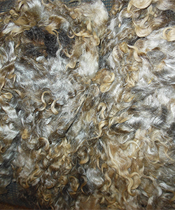 Fleece 12020