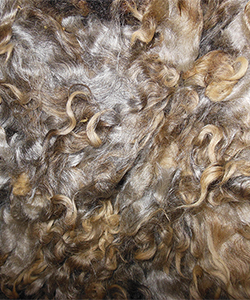 Fleece - 12020