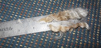 Fleece 1406