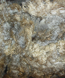 Fleece 1406