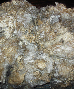 Fleece 1406