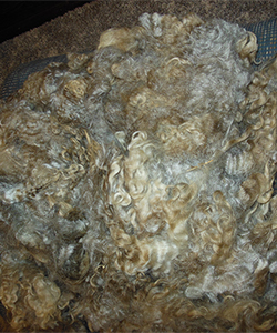 Fleece 1406