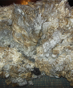 Fleece 1406