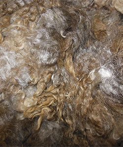 Fleece 1406
