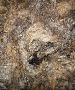 Fleece - Latte