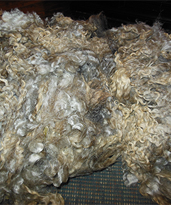 Fleece 1437