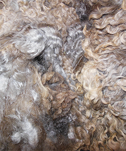 Fleece 1437