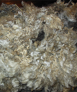 Fleece 1439