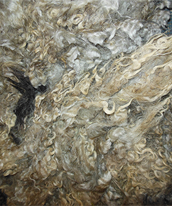 Fleece 1439