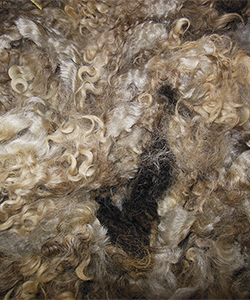 Fleece 1439