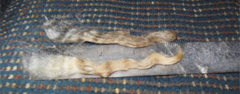 Fleece - 12007