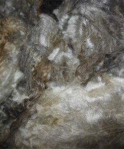 Fleece -1622