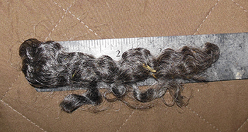 Fleece 1739