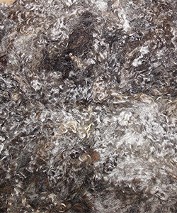 Fleece 16-48