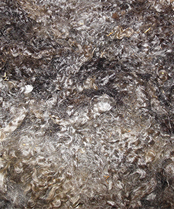 Fleece 16-48