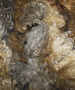 Fleece -1728