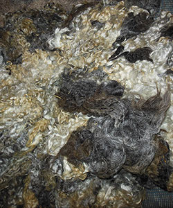Fleece - 1714
