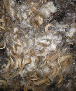 Fleeces