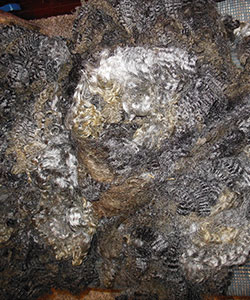 Fleece - 1728