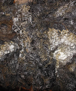 Fleece - 1728