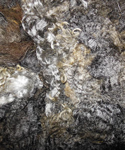 Fleece -1728