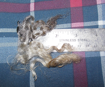 Wyncrest Fleeces