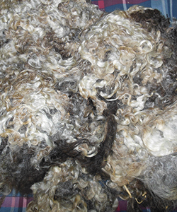 Wyncrest Fleeces