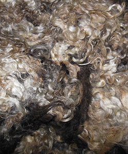 Wyncrest Fleeces