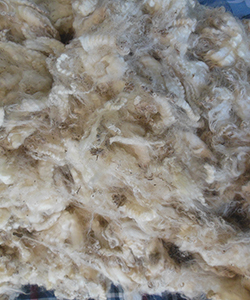 Wyncrest Fleeces