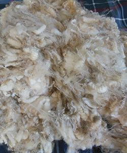 Wyncrest Fleeces