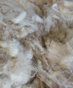 Wyncrest Fleeces