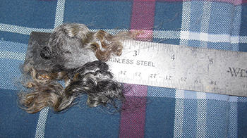 Wyncrest Fleeces