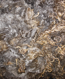 Fleece - 509