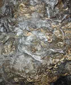 Fleece - 509