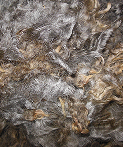 Fleece - 509