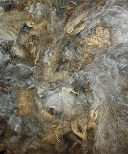 Fleece - Angel