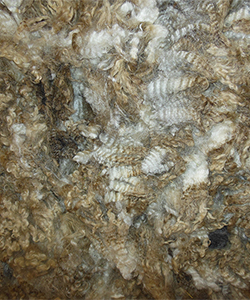 Fleece - Black Pearl