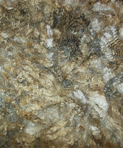 Fleece - Black Pearl