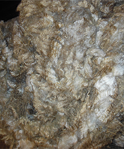 Fleece - Black Pearl