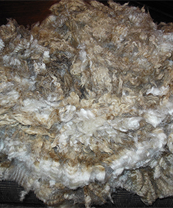 Fleece - Black Pearl
